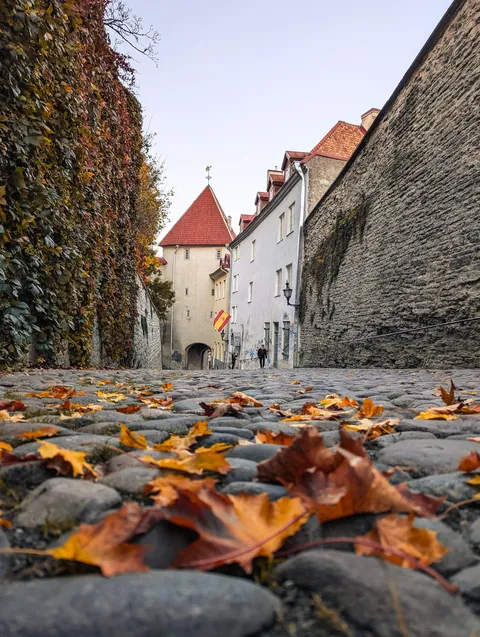 Tallinn, Estonia 🇪🇪