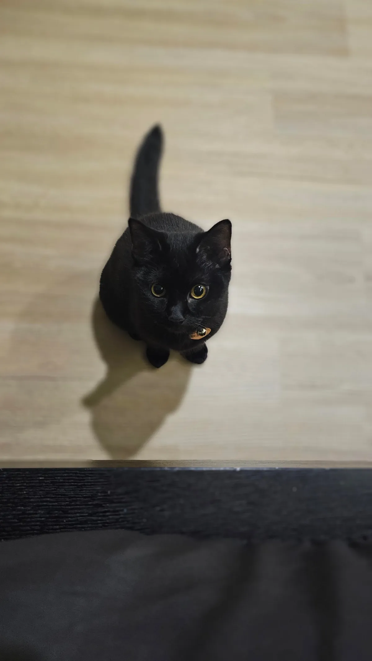 This is my void. There are many like her, but she is mine.