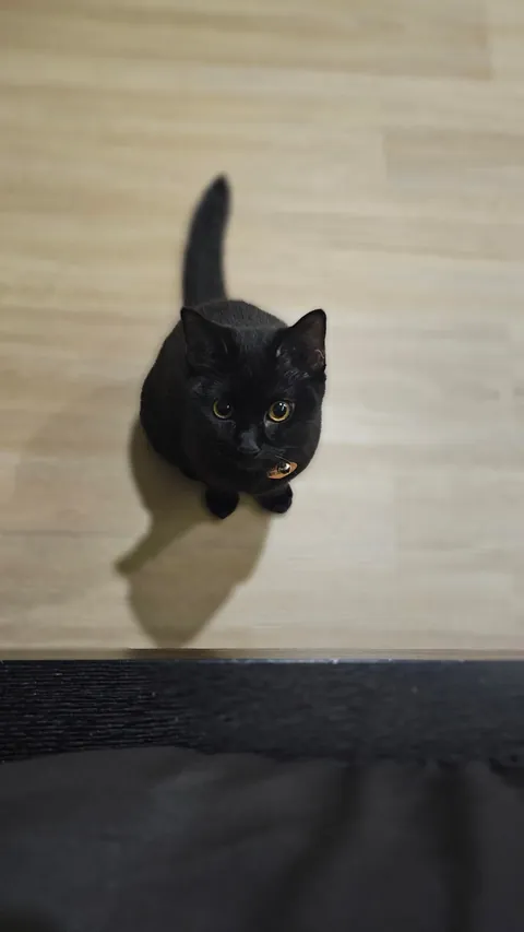 This is my void. There are many like her, but she is mine.