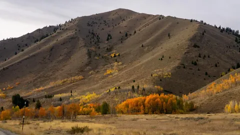 10 days in Montana and Idaho in October