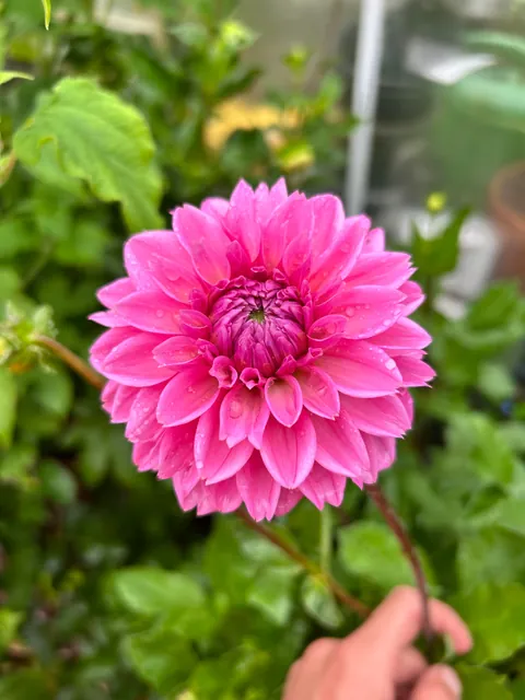 Reaping what I sowed as they say.