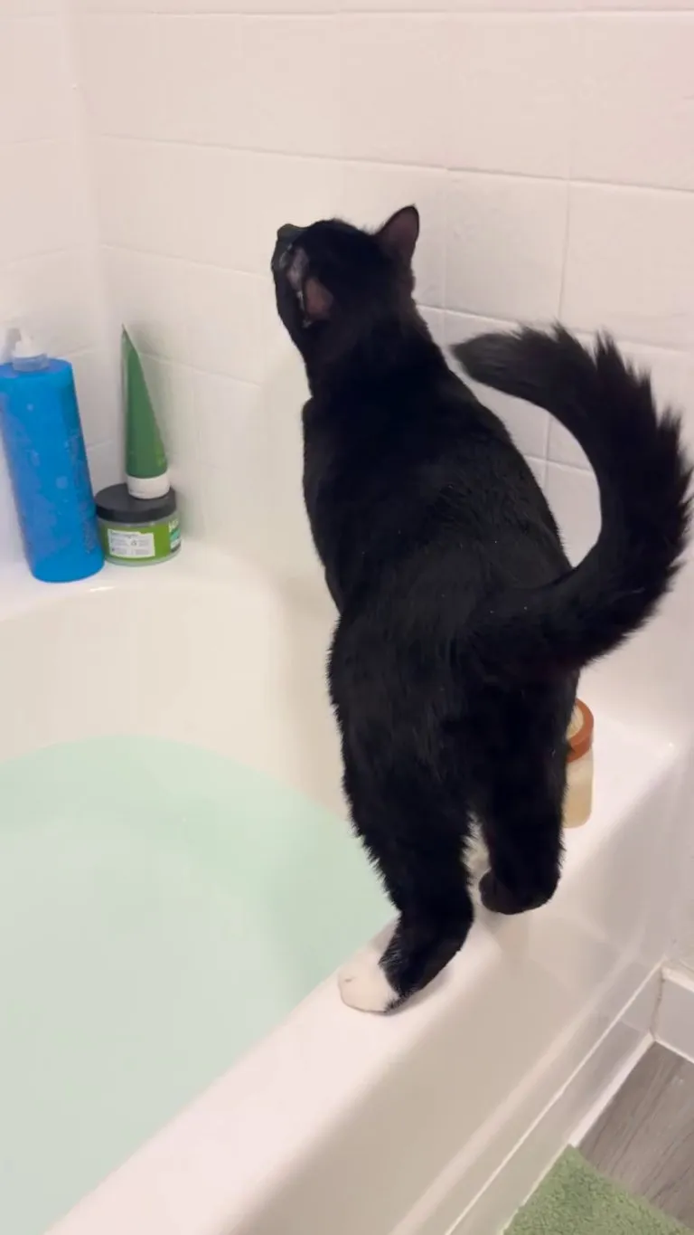 My Silly Boy Boots fell into the bath