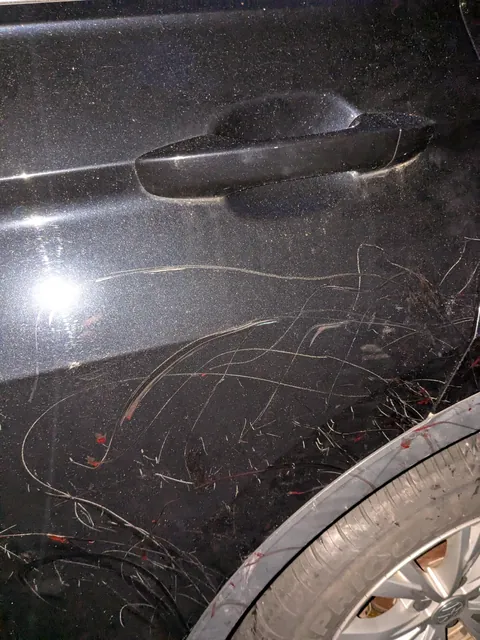 Found a shit ton of scratches and dried blood on my car tonight, looks like maybe some rabid animals were fighting near it?