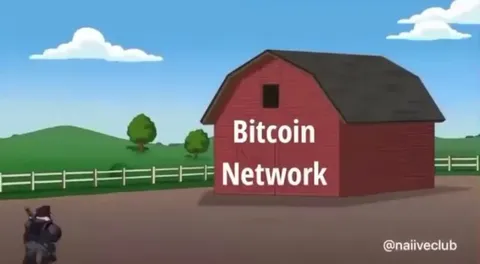 China ban had the opposite effect.