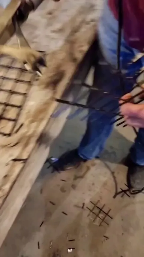 Air driven actuator, rubber band and some wire cutters. I have no need for this, but I’ll take two.