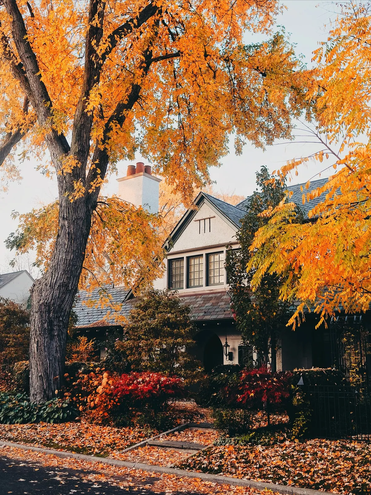 House on an autumn street, Toronto, Ontario, Canada.