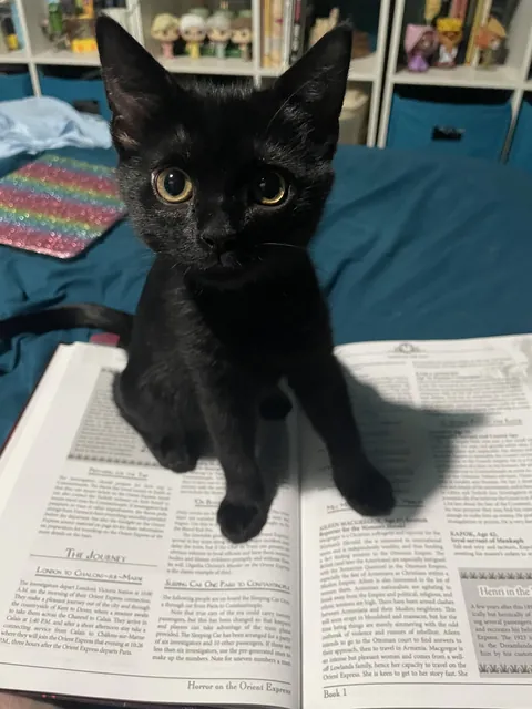 Fred thinks she is helping.