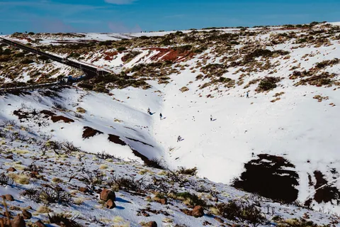 Tenerife, Canary Islands 🇮🇨