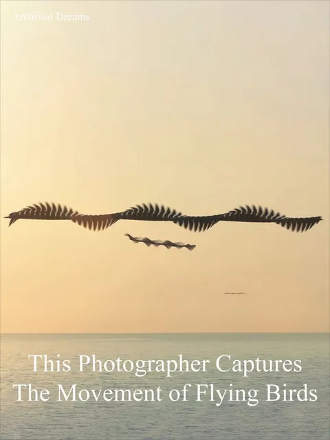 This spanish photographer(Xavi Bou) has traced the flight path of birds by compositing thousands of frames.