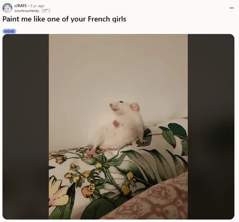 If the election is stressing you out, here are more drawings of some of your goofiest rats