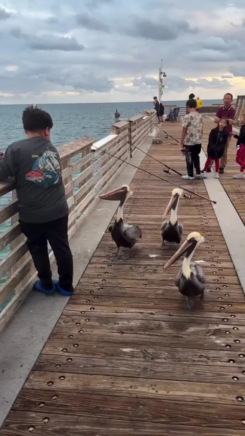 Waiting in the fast food line