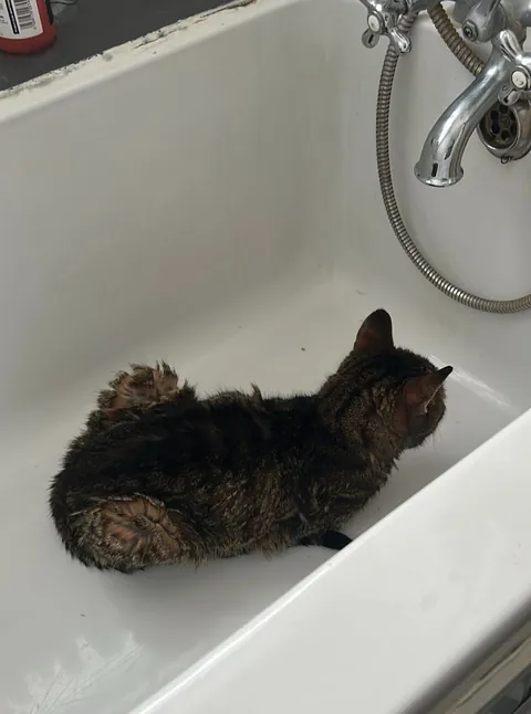 Tribute to my good mate Timmy. 19 years old, and today was his last.