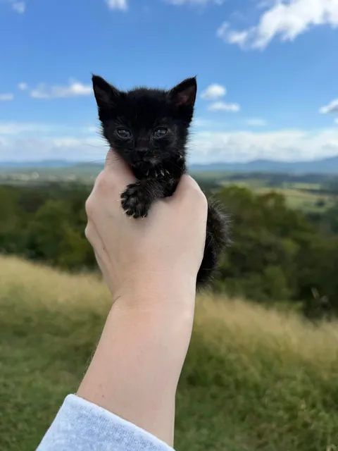 She’s 12oz this morning!!!!!