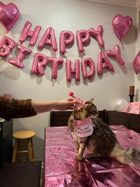 Look at this birthday boy