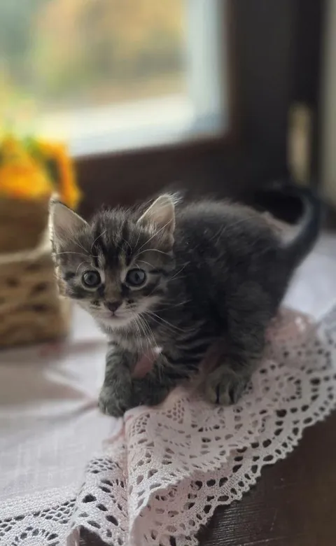 A brief pause in your feed for some cuteness