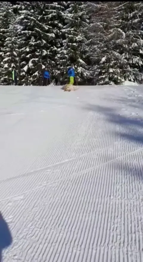 This good boy is having the best day