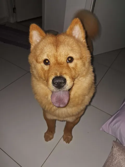 I think he wants a little treat!