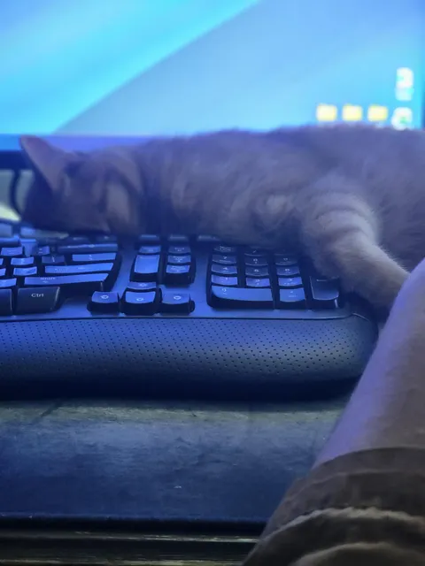 My coworker fell asleep on the job