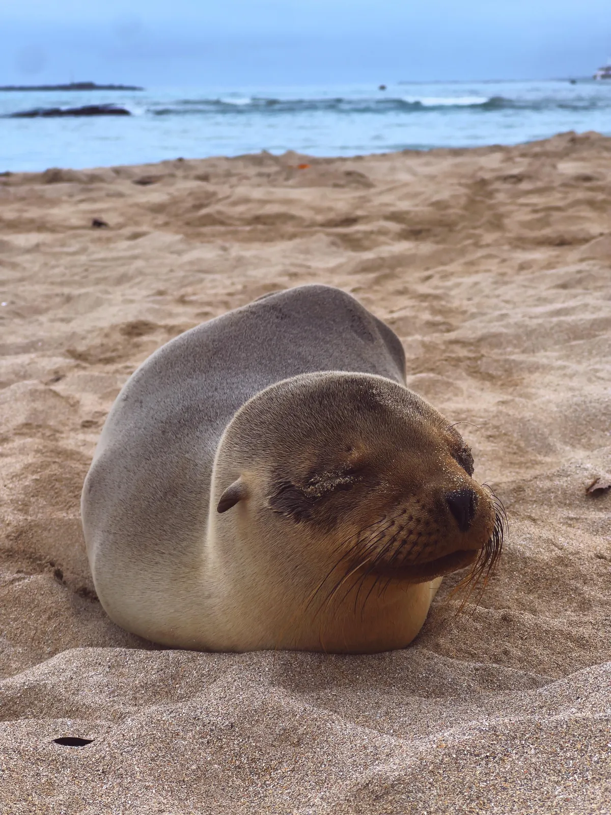 5 days in Galapagos in Sep 2025.