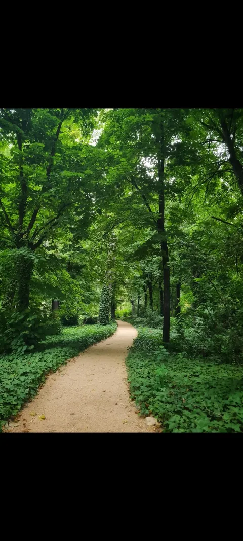 This cozy dreamy park in the middle of Madrid