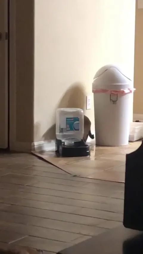 she does this because she likes to watch the water move