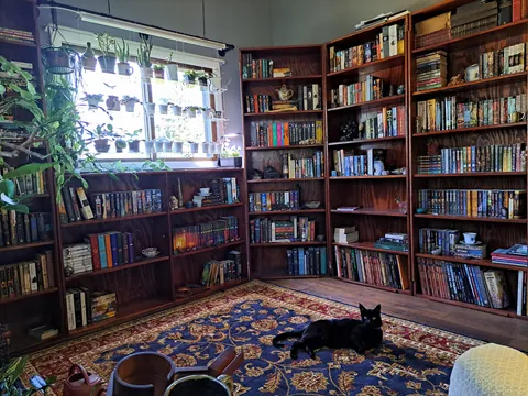 Just completed my home library 