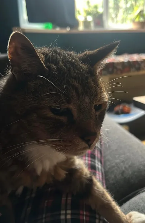 Tribute to my good mate Timmy. 19 years old, and today was his last.