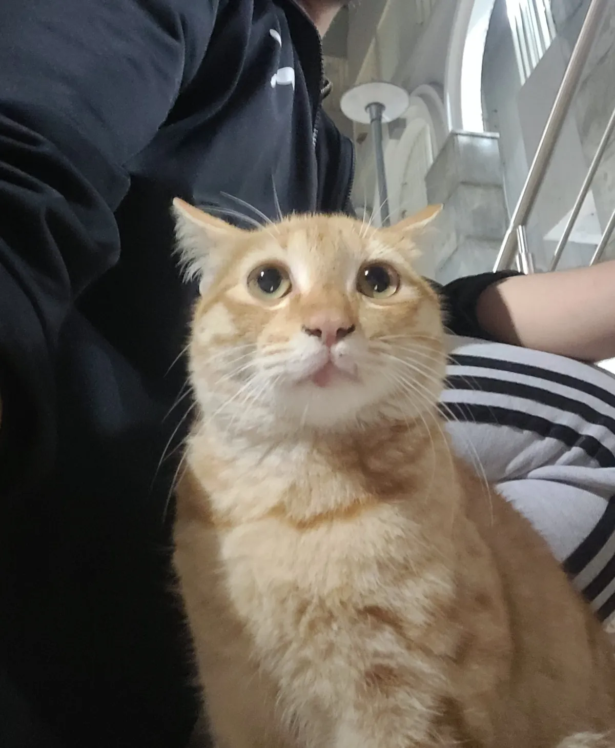 Not a single thought behind those eyes