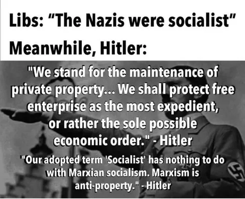 Industrielleneingabe shows capitalists wanted them in power, which shows their real interests