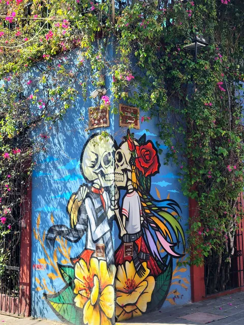 1 month in Oaxaca, Mexico February 2026