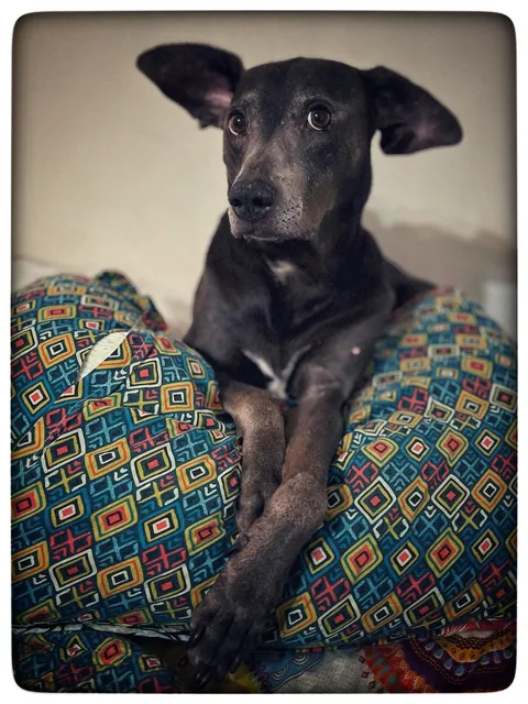 My momma says that I’m the babiest of all the baby boys.