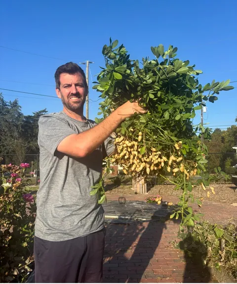 favorite harvest of the year