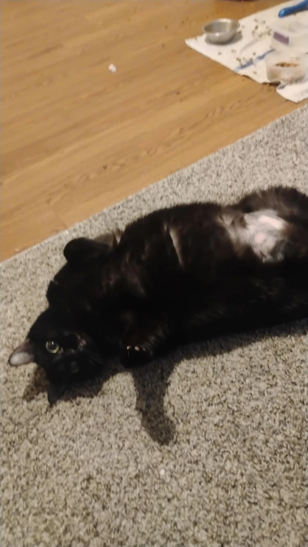 The post that changed my life and gave me my girl