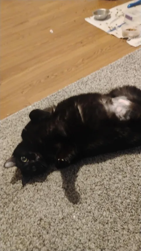 The post that changed my life and gave me my girl