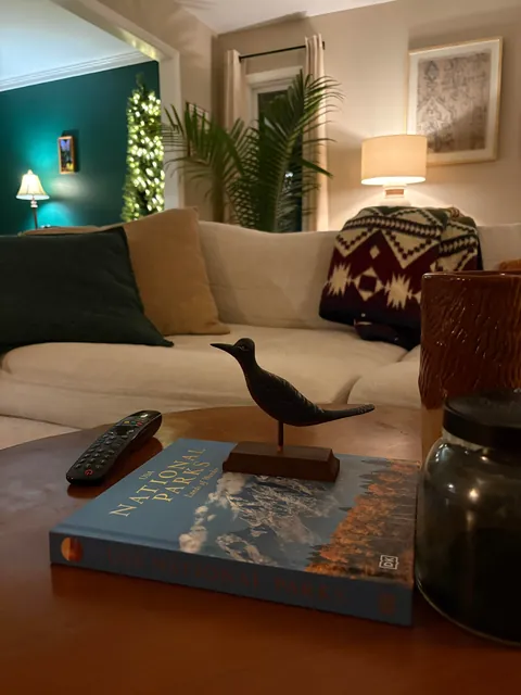 Our home ❤️ where cozy is the motto. 80% thrifted