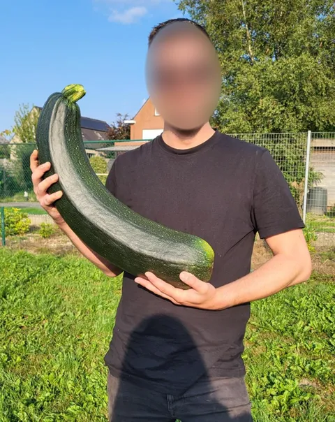 I grew a huge zucchini