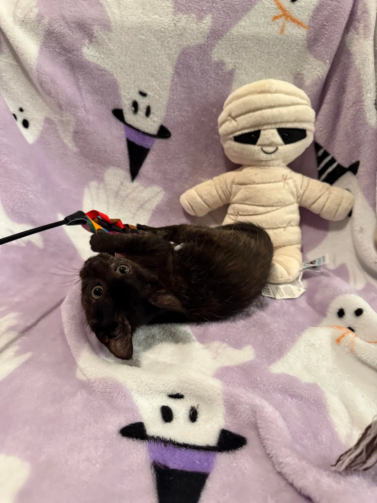 From 6oz to fat ❤️