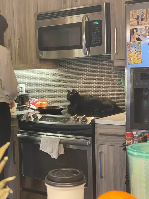 My girlfriend allows this…it scares me