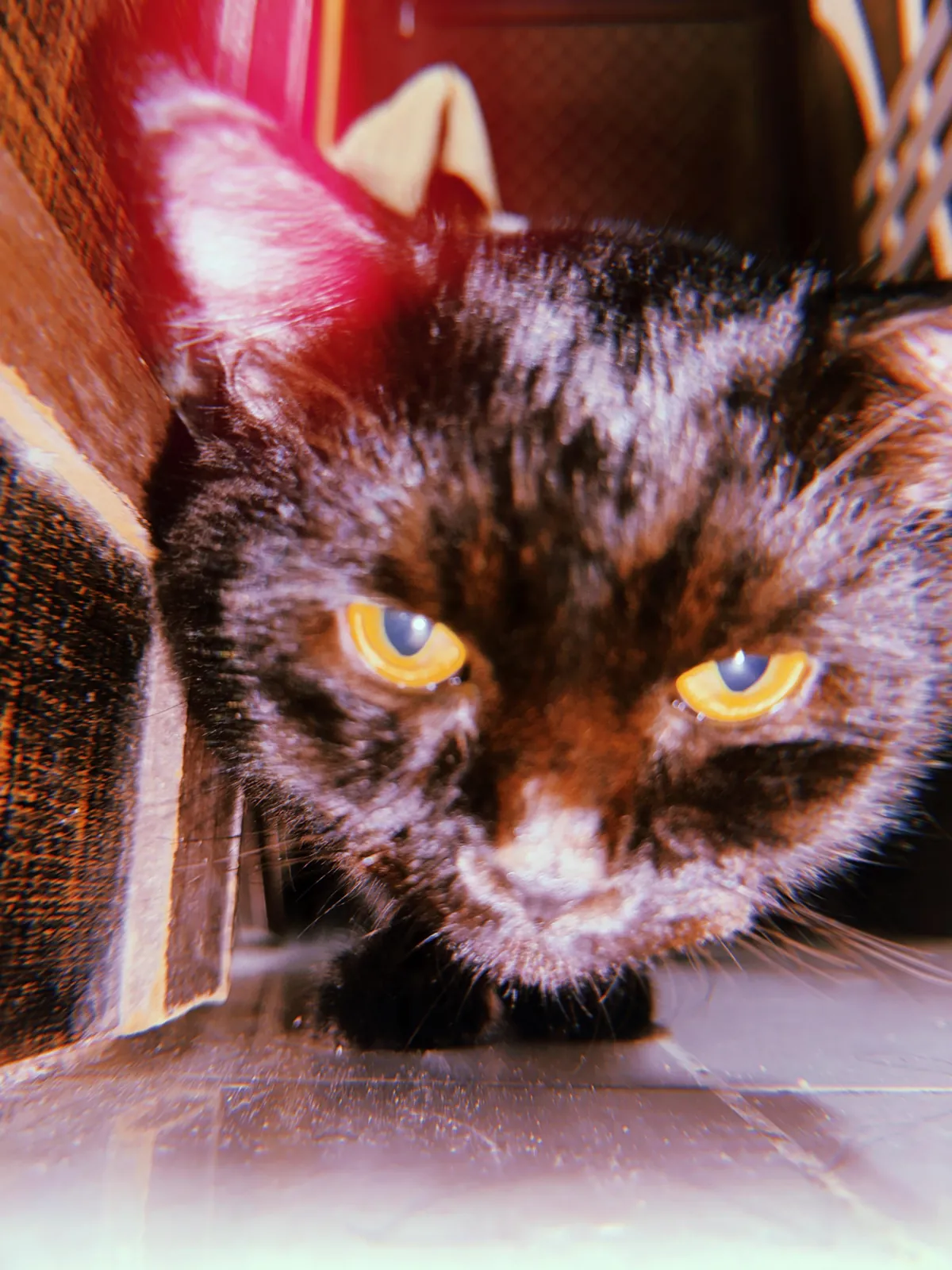 First Time Posting Him