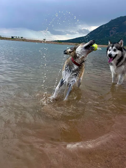 One of my favorite pictures I’ve ever taken - and the goofiness leading up to it!