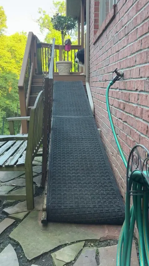 They were like: 'wait for us mama' 