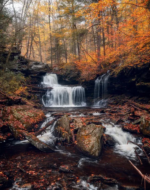 R.B. Ricketts Falls, Ricketts Glen State Park, PA [1536x1920] [OC]