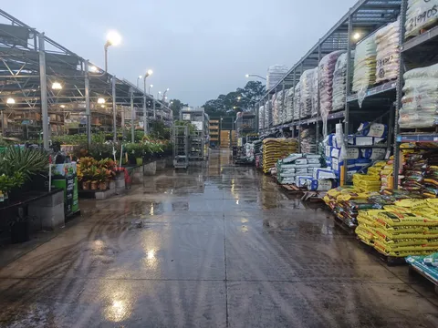 A moist morning in the garden center