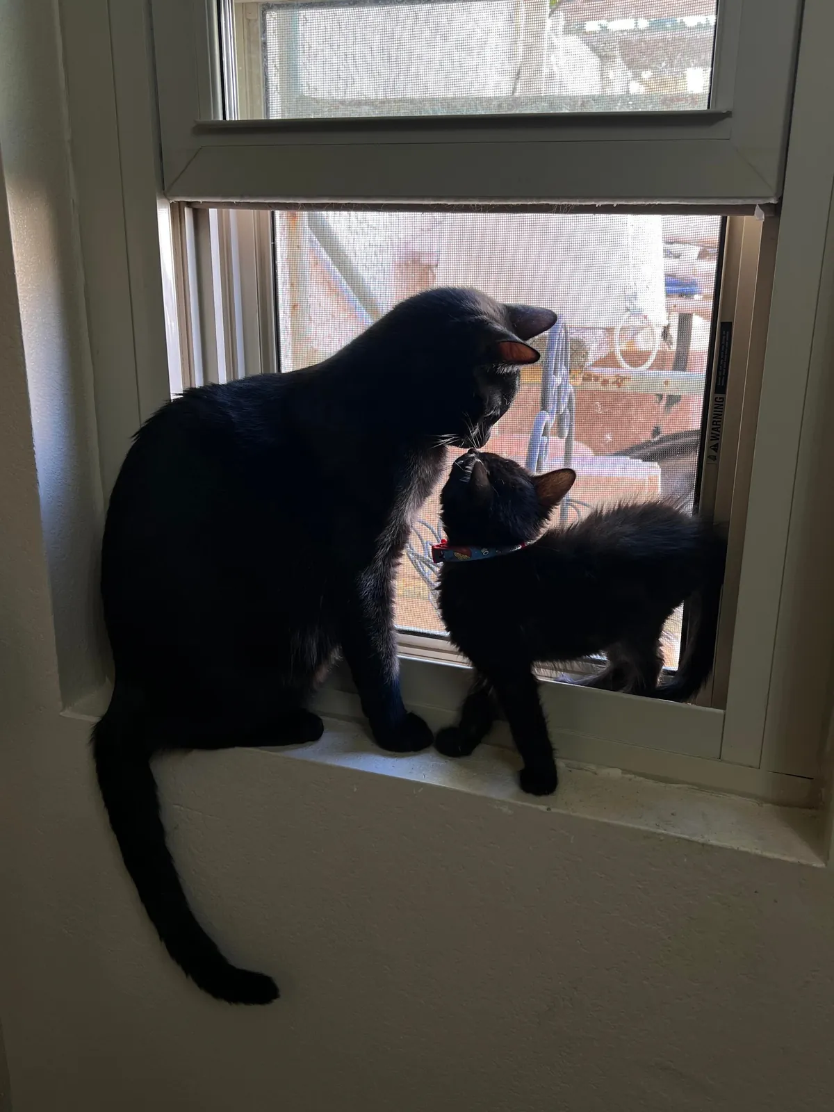 It’s hard being a single father 🖤