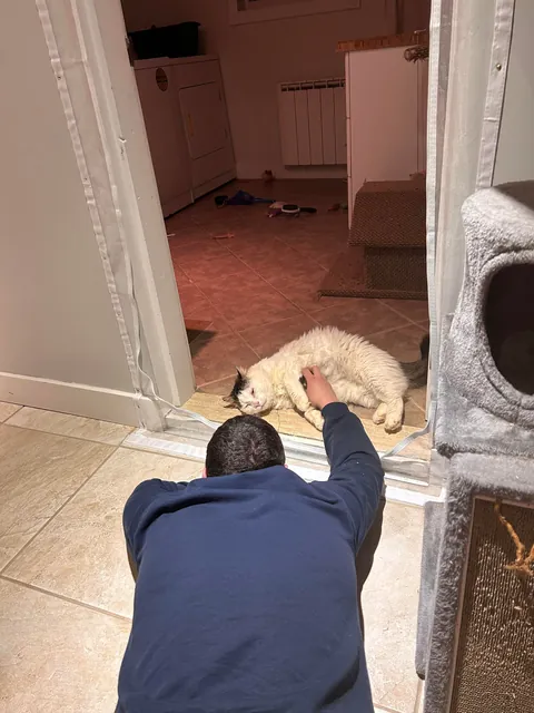 What a change 2 months can make- Foster Fail- read for a happy end 😻