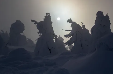 Extreme weather conditions on Mount Zao completely encase the local pine trees in ice, creating the eerie illusion of a towering, frozen army known as the "Snow Monsters.