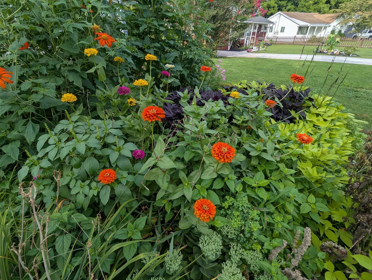 Just wanted to share some pics