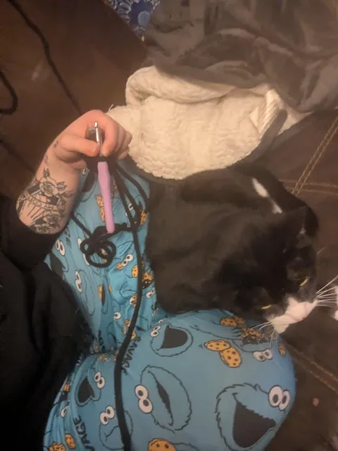 Baby who I've had for 11.5 years just started snuggling