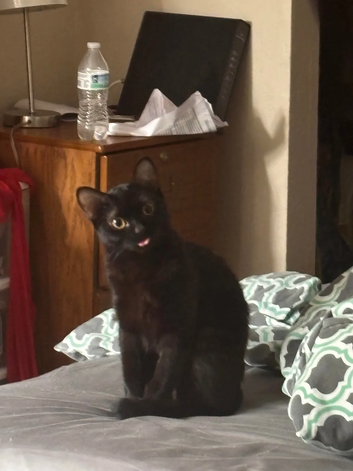 I found Jenny staring into blank space and doing this :P Is she okay?