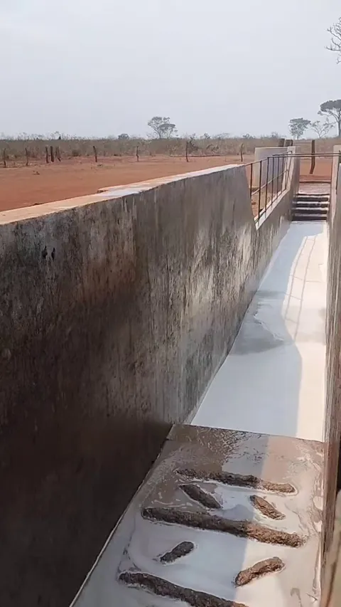 Disinfection of cattle